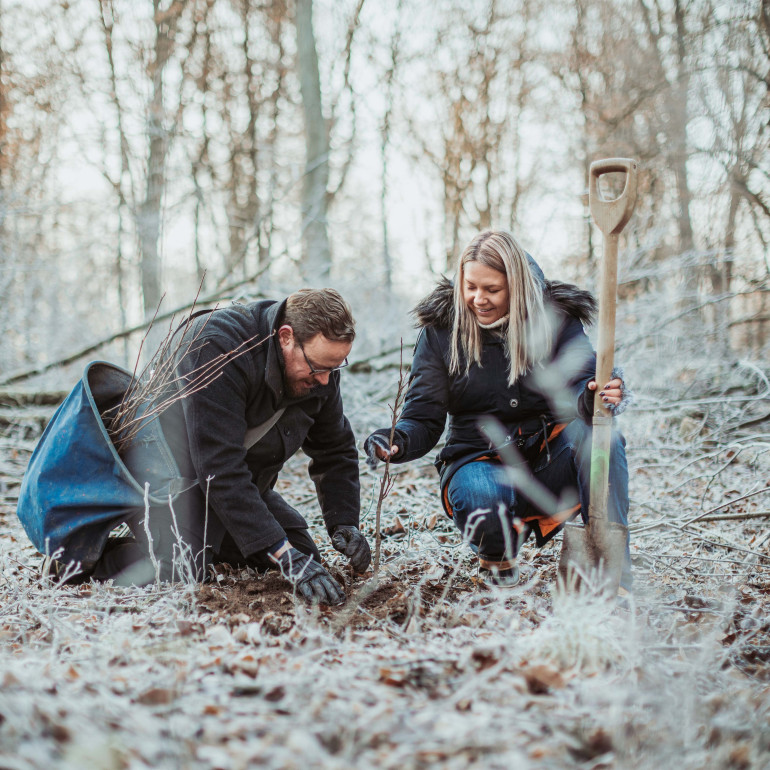 Ulf und Susanne Tietge beim Bäumepflanzen im Wald