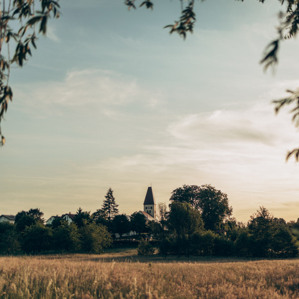 Landschaft in der Ortenau