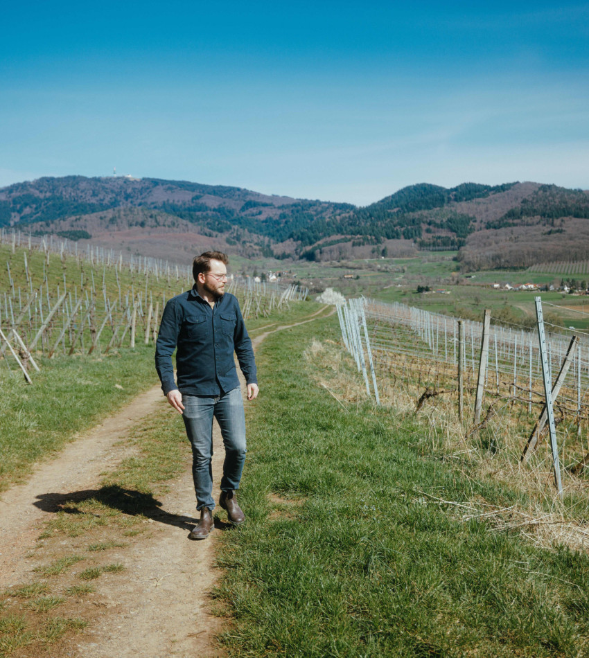 Winzer Max Greiner im Weinberg