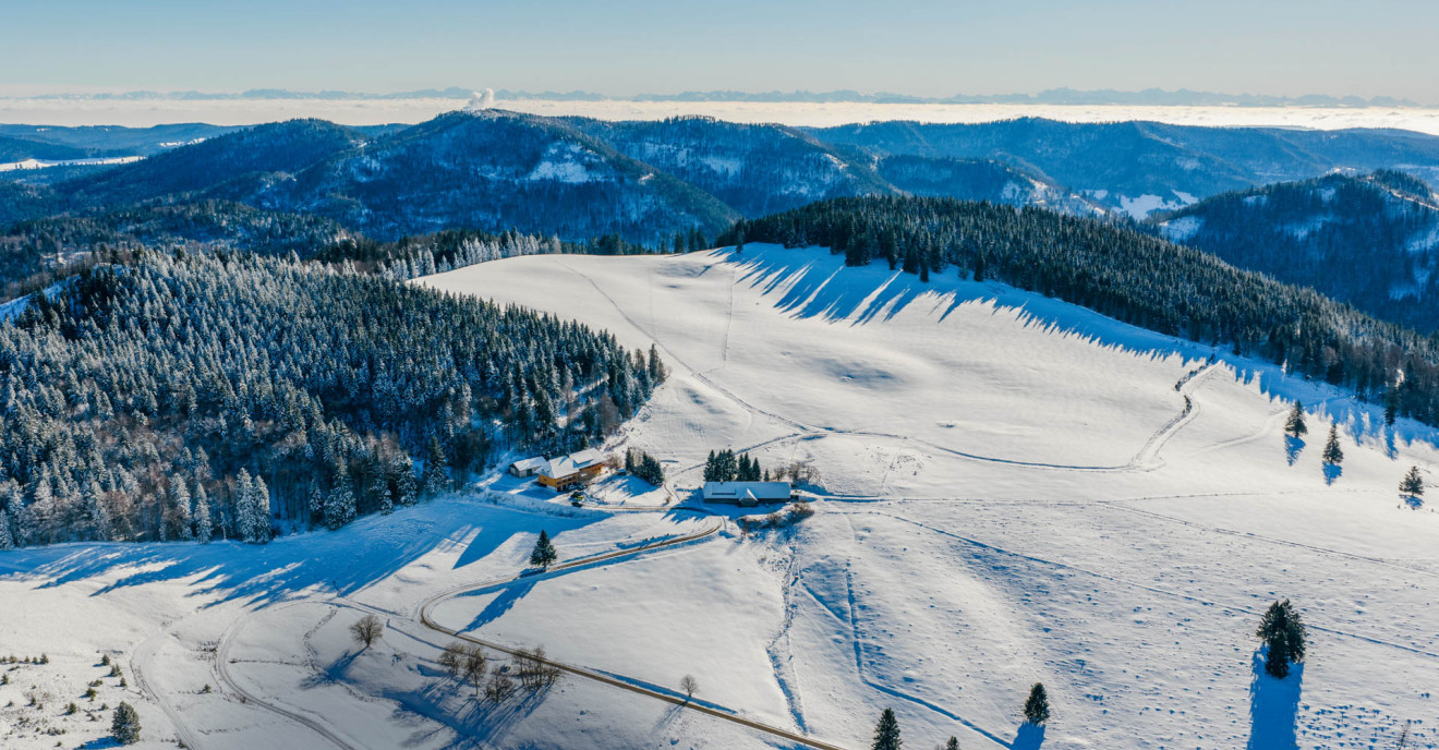 Was die Gisiboden Alm so besonders macht