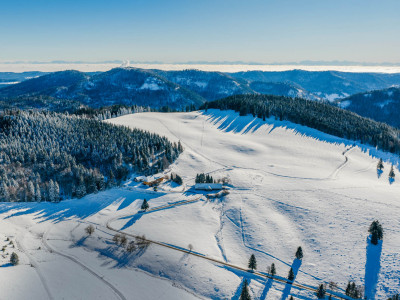 Frau Zinners Gespür für Schmarrn