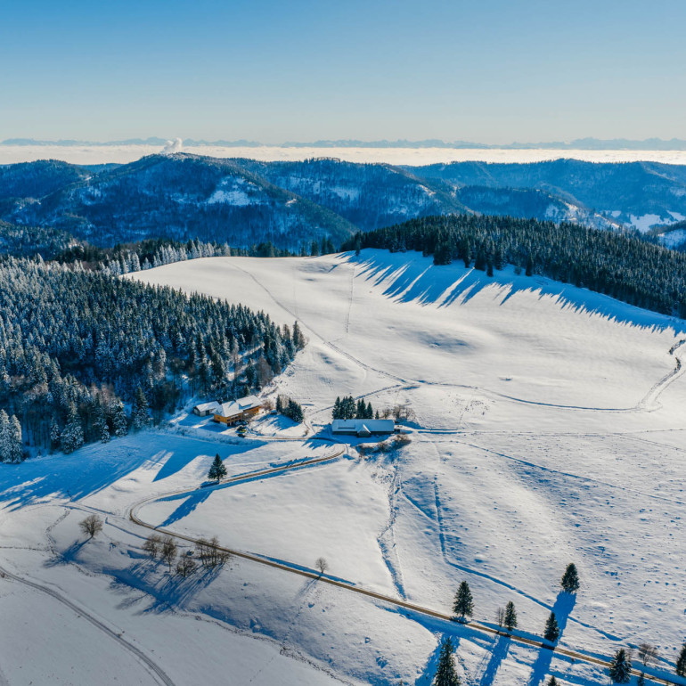 Frau Zinners Gespür für Schmarrn