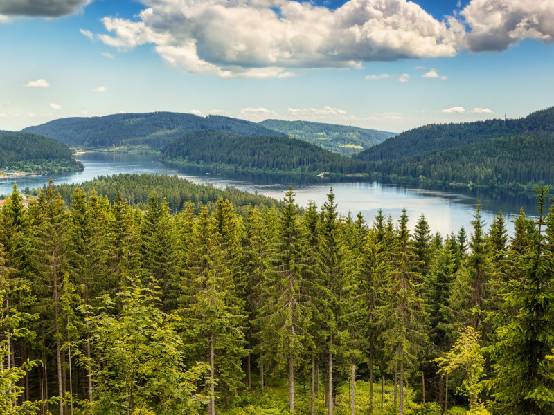 Direkt am See