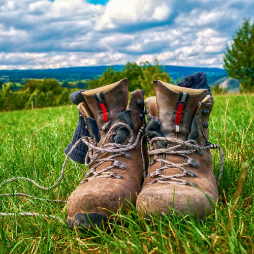 Ein paar Wanderschuhe aus Leder stehen im Gras