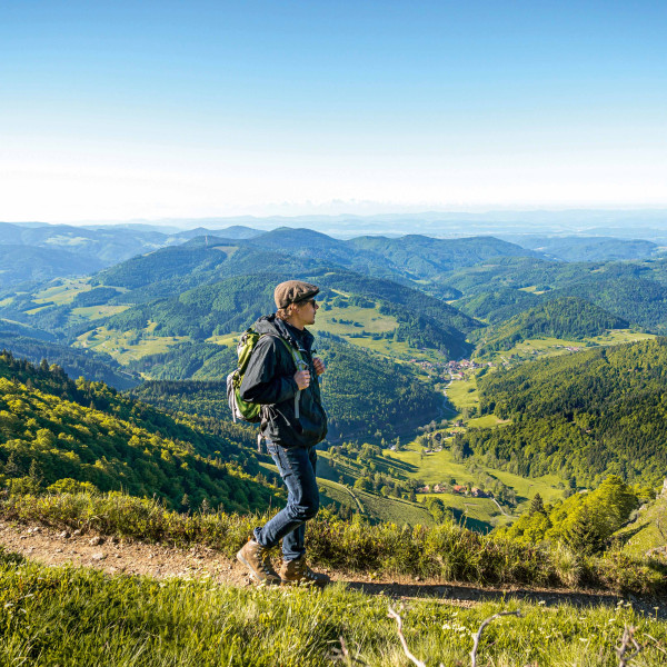 Die fünf besten Fernwanderwege im Schwarzwald