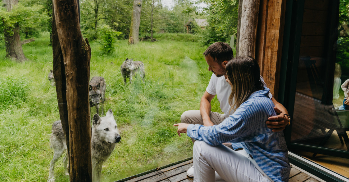 Ein Pärchen beobachtet einen Wolf durch ein Fenster