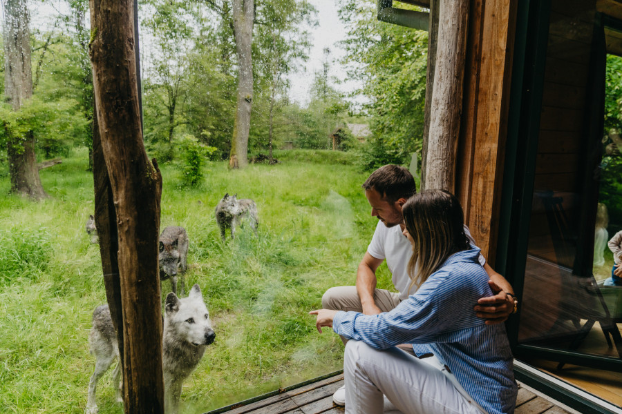 Ein Pärchen beobachtet einen Wolf durch ein Fenster