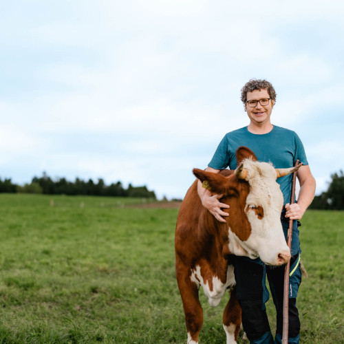 Das Glück hat Hörner und Flecken – Biohof mit Käserei im Nordschwarzwald
