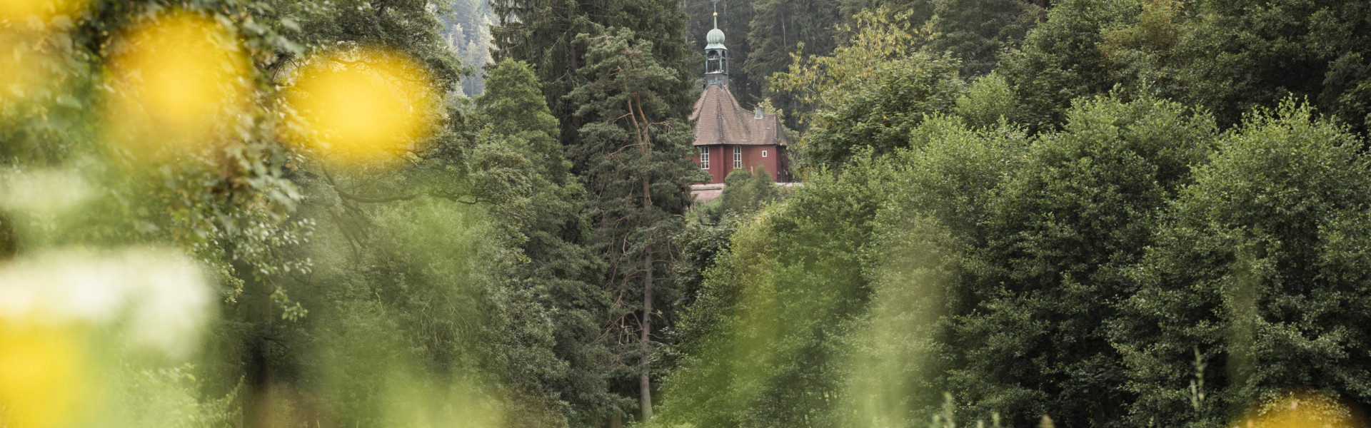 Blick auf Wälder mit Haus im Hintergrund
