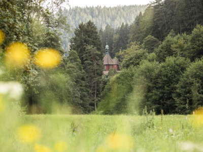Blick auf Wälder mit Haus im Hintergrund