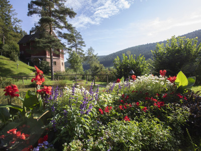 Blick auf blühendes Blumenbeet im Hintergrund Wald und ein historisches Gebäude