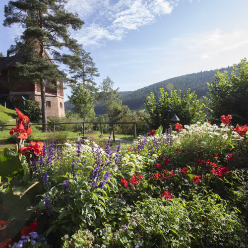 Blick auf blühendes Blumenbeet im Hintergrund Wald und ein historisches Gebäude