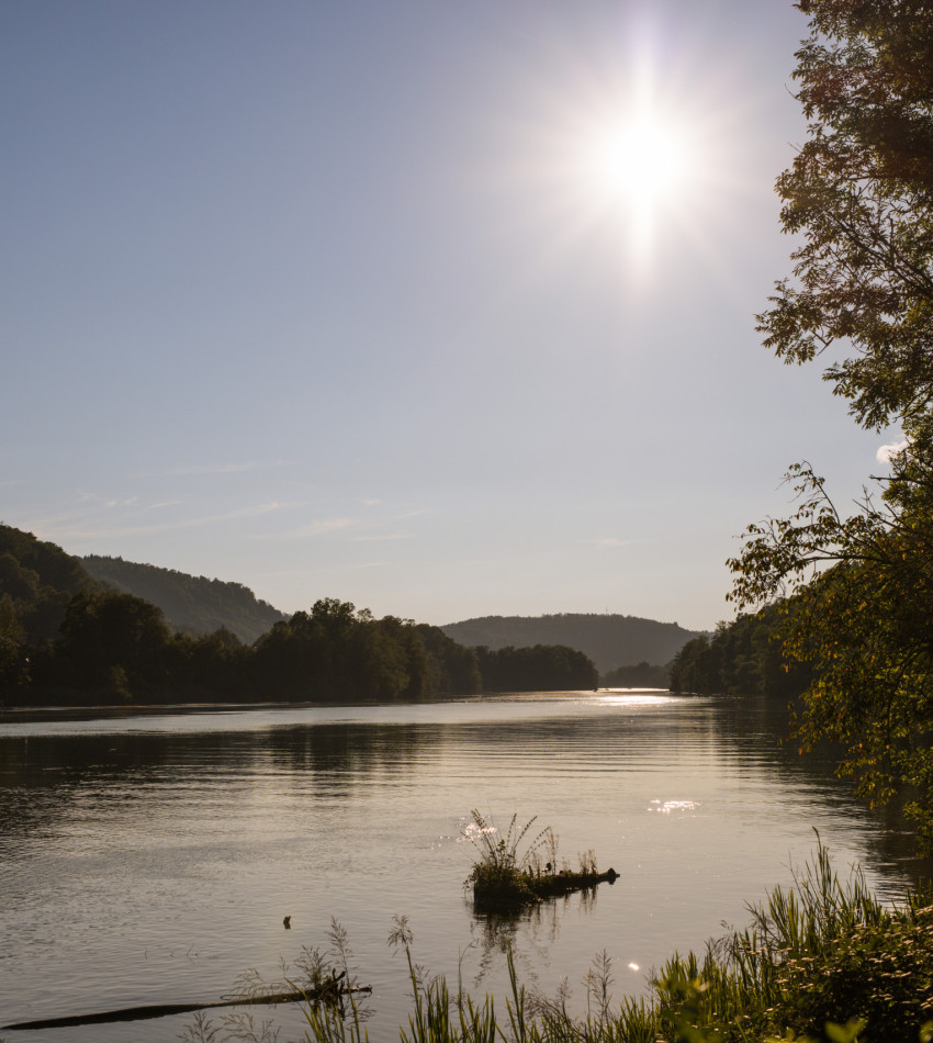 Blick auf den Hochrhein