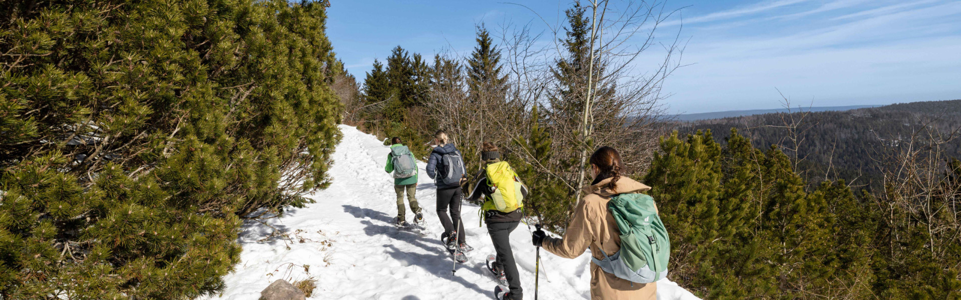 WEITER, IMMER WEITER!