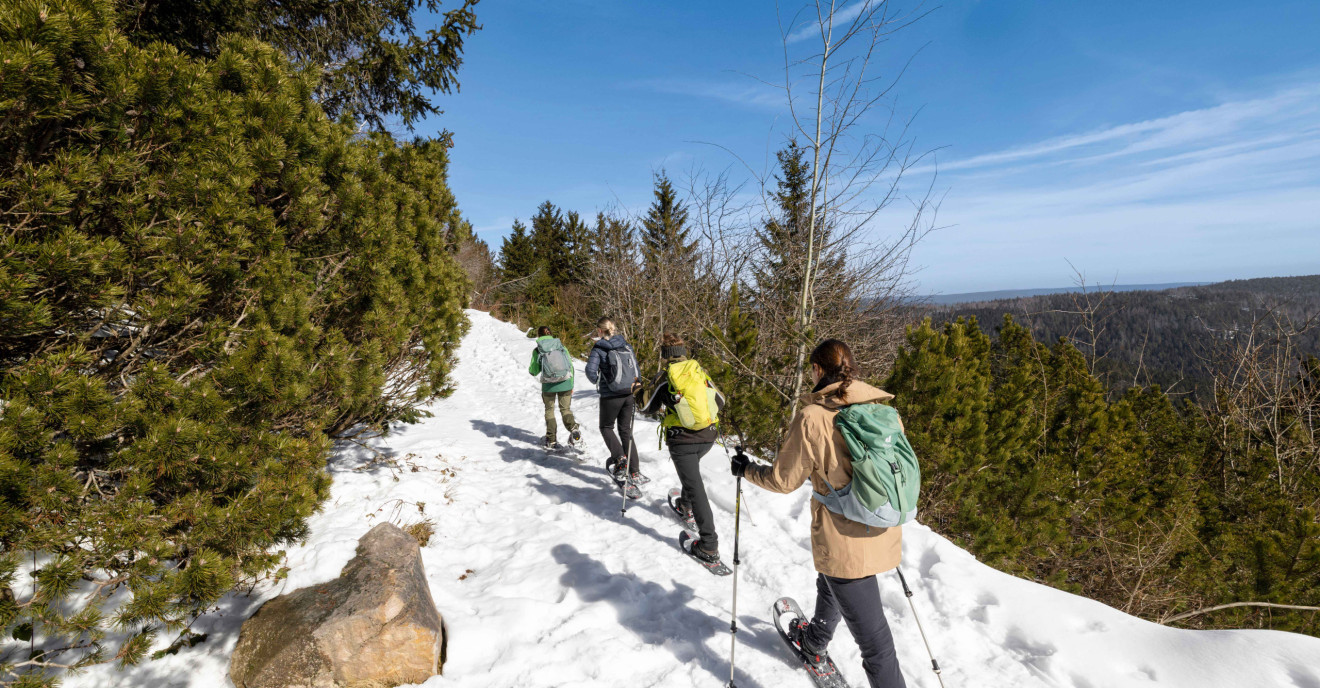 WEITER, IMMER WEITER!