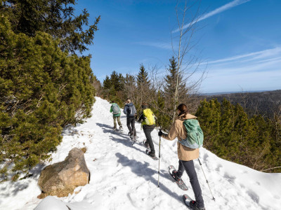 WEITER, IMMER WEITER!