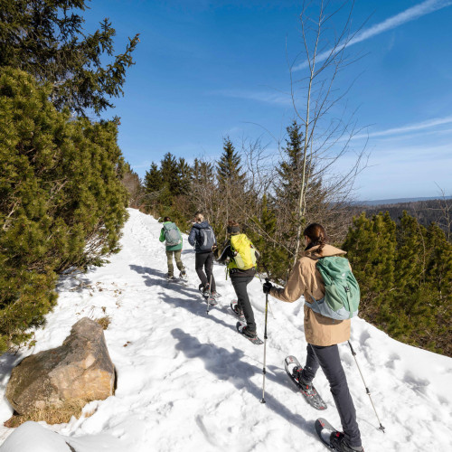 WEITER, IMMER WEITER!