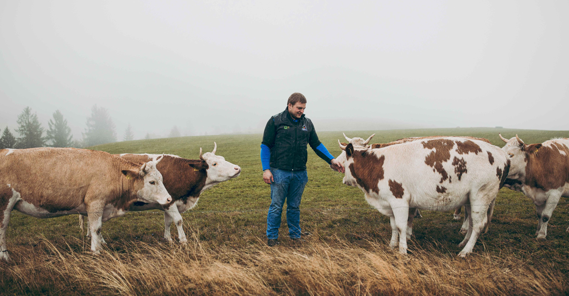 Landwirt Felix Schätzle mit seinen Rindern