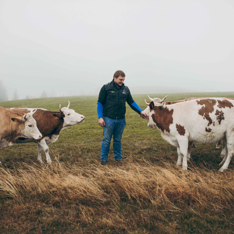 Landwirt Felix Schätzle mit seinen Rindern