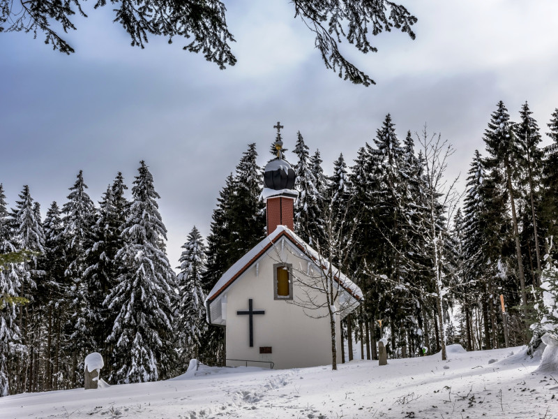 Hotzenwaldtour mit Alpenpanorama