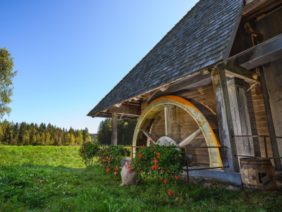 Die 5 schönsten Mühlen im Schwarzwald