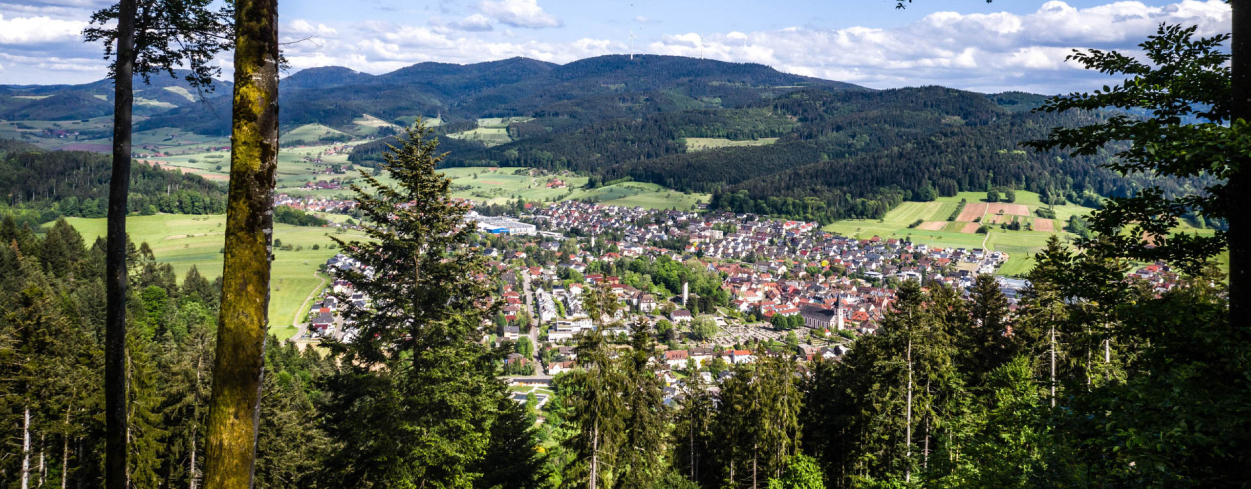 Blick auf das Harmersbachtal