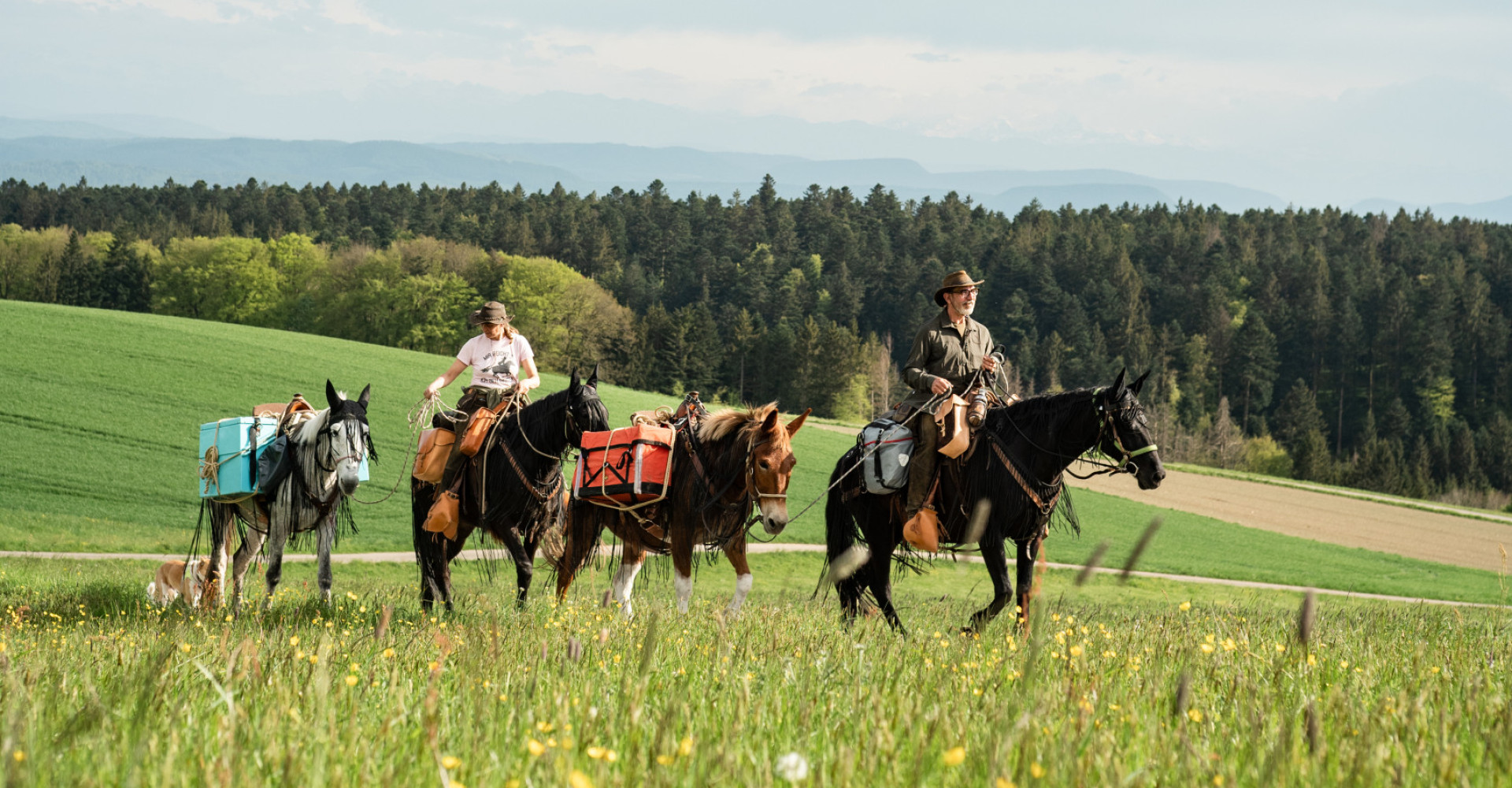 Wanderreiten im Schwarzwald: Zwei Wanderreiter reiten durch den Südschwarzwald