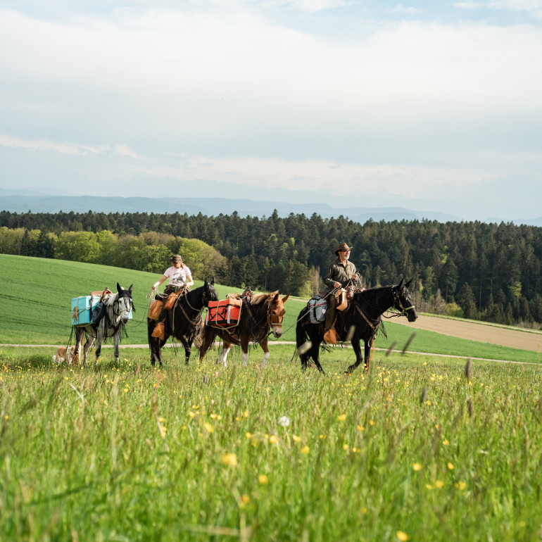 Wanderreiten im Schwarzwald: Zwei Wanderreiter reiten durch den Südschwarzwald