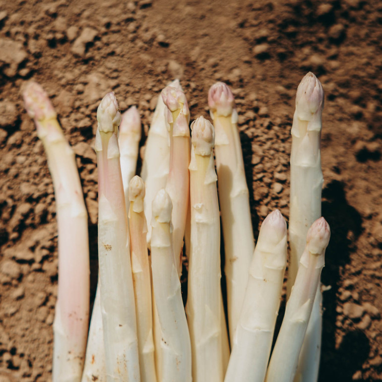 Wenn Spargel Saison hat: Ein Morgen auf dem Bohrerhof