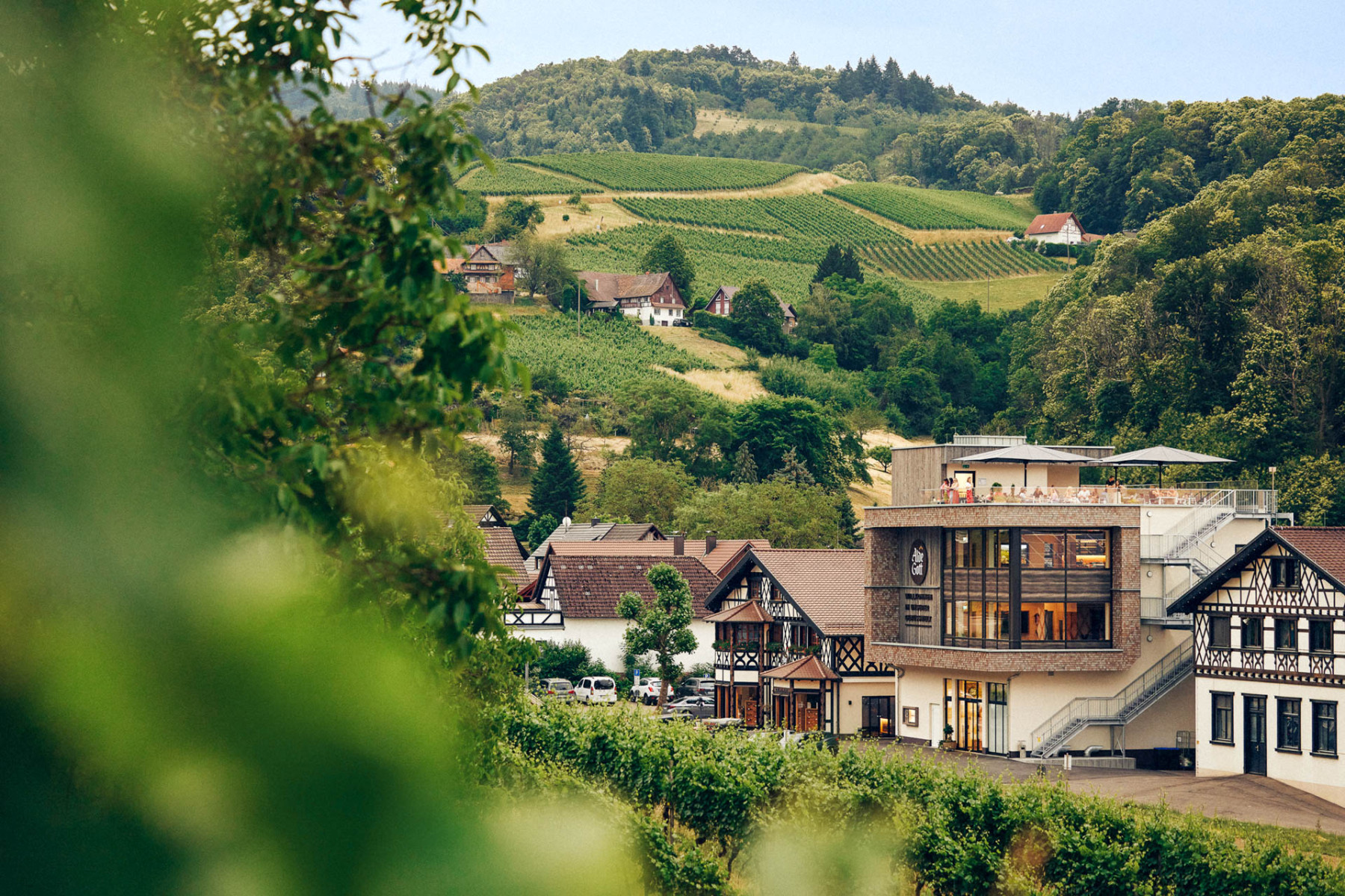 Ein Ausblick auf Weinberge.