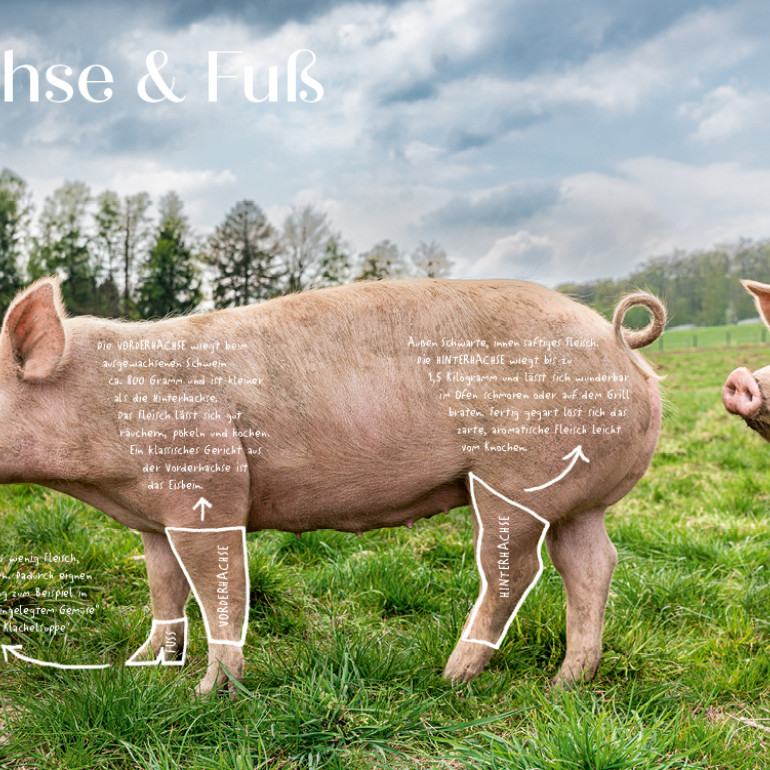 洋書 SCHWEIN : VON KOPF BIS FUSS DAS KOCHBUCH SCHWEIN: von Kopf bis Fuß: Das Kochbuch : Müller, Wolfgang