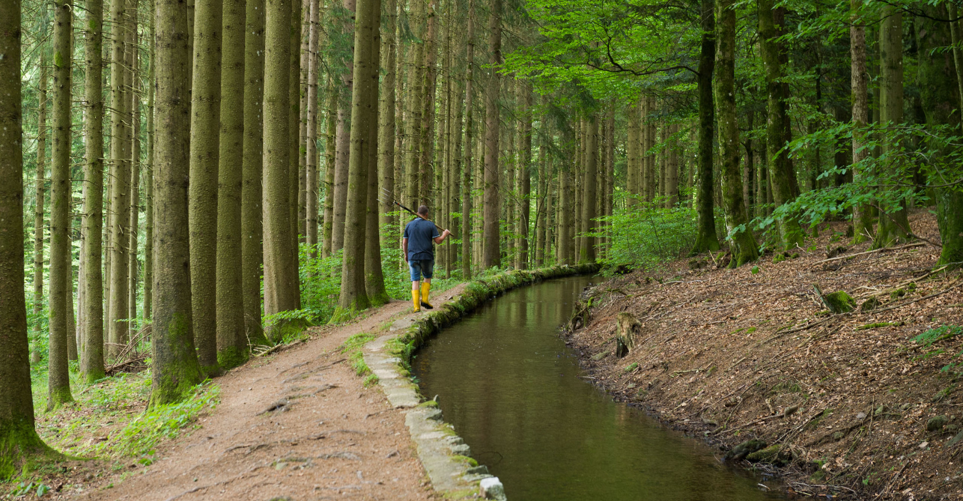 Wuhren im Hotzenwald