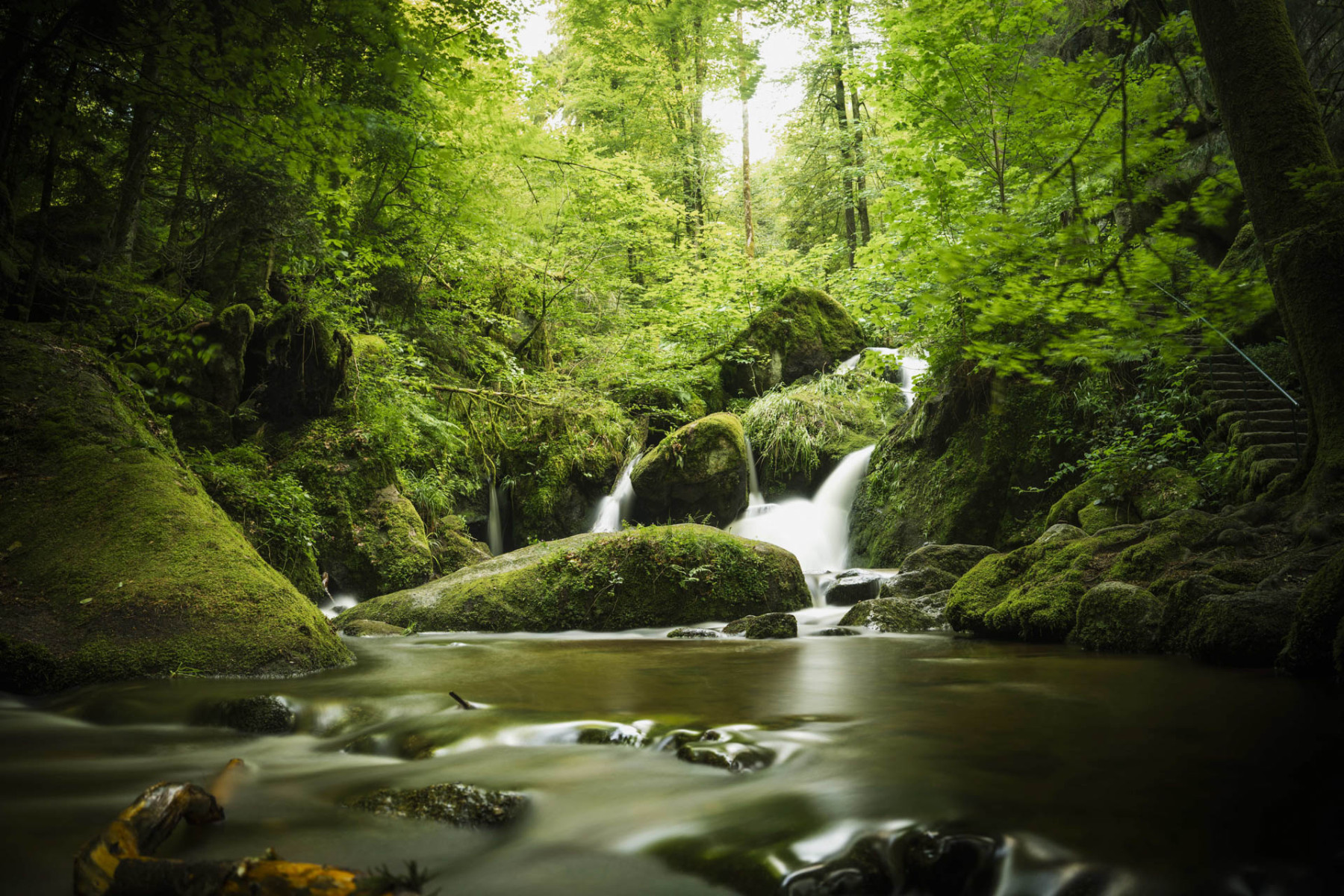 Ein Wasserfall in grüner Umgebung. 