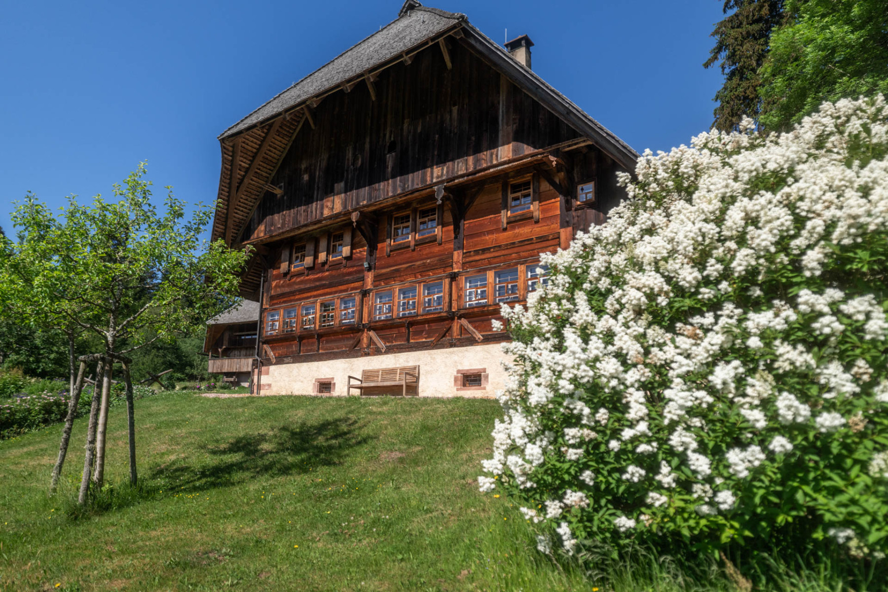 Ein historisches, renoviertes Schwarzwaldhaus umgeben von grüner Wiese.